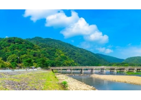 面粉机撷英：夏