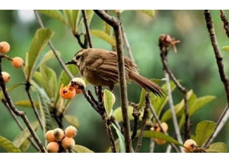 面粉机械文章选登：窗外即景