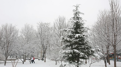 磨面机作文推介：雪之思